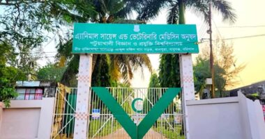 পবিপ্রবির এএনএসভিএম অনুষদে নষ্ট অধিকাংশ প্রজেক্টর, নেই সাউন্ড সিস্টেম : চরম ভোগান্তিতে শিক্ষার্থীরা