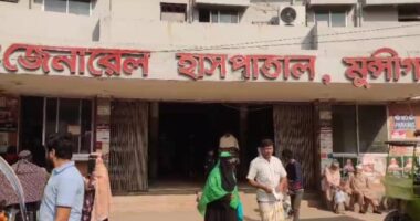 মুন্সিগঞ্জে বিরল রাসেল ভাইপার সাপের কামড়, কৃষক ঢামেকে রেফার