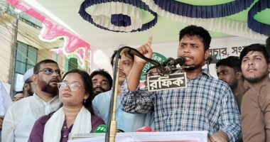 পাশের দেশ ভারতের কনসার্ন নিয়ে আমরা কোনো ক্ষমতায় যেতে চাই না : হাসনাত আবদুল্লাহ