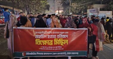 বিএনপির সন্ত্রাস বন্ধে তারেক রহমানের হস্তক্ষেপের আহ্বান আপ বাংলাদেশের