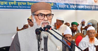 বাংলাদেশ ছাড়া আমার দ্বিতীয় কোনো ঠিকানা নেই : ধর্ম উপদেষ্টা