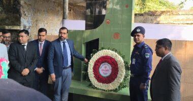 মেহেরপুরে পালিত হয়েছে শহীদ বুদ্ধিজীবী দিবস