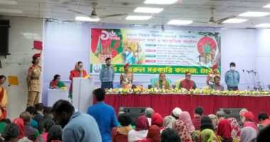 বিজয় দিবস উপলক্ষে কবি নজরুল কলেজে আলোচনা সভা ও সাংস্কৃতিক অনুষ্ঠান