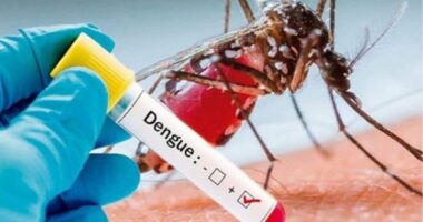 আমতলীতে ডেঙ্গুতে শিক্ষিকার মৃত্যু, জেলায় মোট প্রাণহানি ৬৬