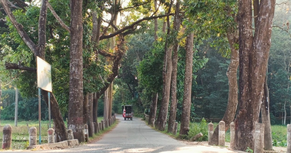 টেকনাফে পাহাড়ে কৃষক অপহরণ, পালিয়ে ফিরেছেন এক বৃদ্ধ