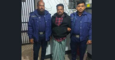 মহিপুুরে অপারেশন ডেভিল হান্টে থানা শ্রমিকলীগের যুগ্ম সাধারণ সম্পাদক গ্রেফতার