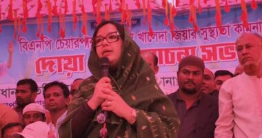 শহীদ ওসমান হাদির পর কার নাম আসবে জানি না : রুমিন ফারহানা