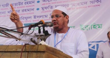 ভারতীয় আধিপত্যবাদের কবর রচিত হয়ে গেছে : চরমোনাই পীর