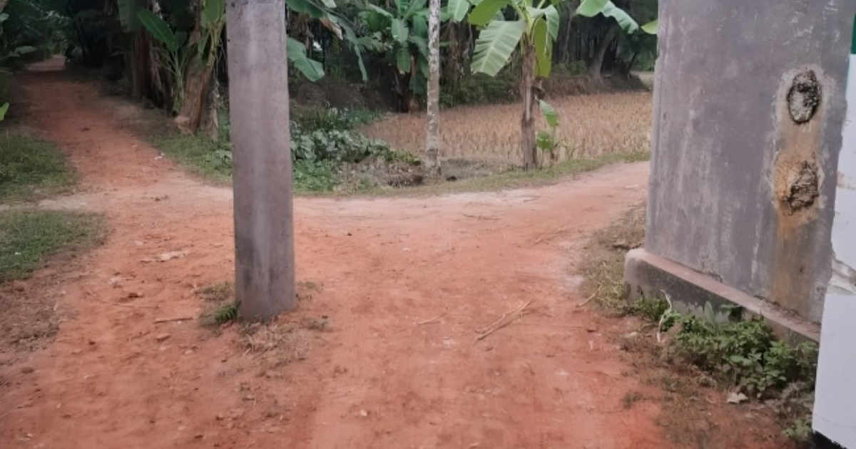 লালমোহনে রাস্তার মাঝখানে বিদ্যুতের খুঁটি, চরম ভোগান্তিতে এলাকাবাসী