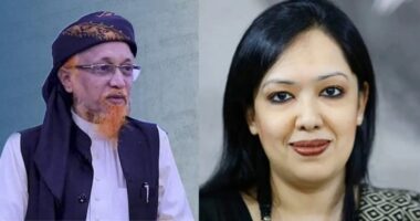 ব্যারিস্টার রুমিন ফারহানার আসনে জুনায়েদ আল হাবিবকে সমর্থন বিএনপির