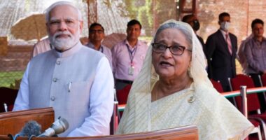 যুক্তরাষ্ট্রের সিগন্যাল পেলেই শেখ হাসিনাকে ফেরত দেবে ভারত