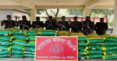 রৌমারীতে মালিকবিহীন ভারতীয় সুরাজ জিরা ও নৌকা আটক