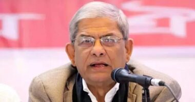 তারেক রহমানের হাত ধরে দেশ গণতন্ত্রের পথে এগিয়ে যাবে : মির্জা ফখরুল