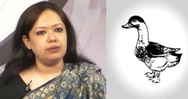 ব্রাহ্মণবাড়িয়া-২ আসনে ‘হাঁস’ প্রতীক চাইবেন ব্যারিস্টার রুমিন ফারহানা