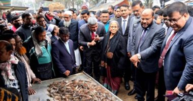 বাগেরহাটে মাছের আড়তে মৎস্য ও প্রাণিসম্পদ উপদেষ্টার সফর