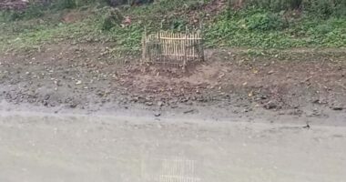 মধুপুরে আ/ত্ম/হ/ত্যার লা/শ হওয়ায় দাফন করা হয়েছে নদীতে