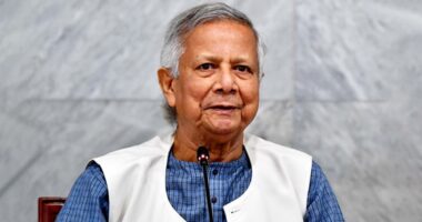 ফেব্রুয়ারিতে জাতীয় নির্বাচন ও গণভোট হবে উৎসবমুখর : প্রধান উপদেষ্টা