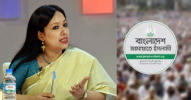 বিশ্ববিদ্যালয় থেকে ব্যাংক, সবখানে প্রশাসনের বড় অংশ জামায়াতের নিয়ন্ত্রণে : রুমিন ফারহানা