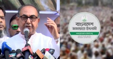 আমরা আ.লীগের মতো না বলেই, রাজাকারদের কণ্ঠস্বর এত উঁচু, ওদের ঔষধই হলো আ.লীগ : মির্জা আব্বাস