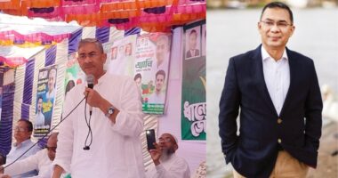 দু-দশ দিনের মধ্যে তারেক রহমান দেশে চলে আসবেন : এ্যানি