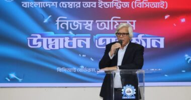 নির্বাচন কেমন হবে, তার ওপর ব্যবসা ও বিনিয়োগের পরিবেশ নির্ভর করবে : বিসিআই প্রেসিডেন্ট