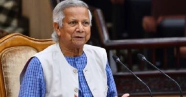 সন্ধ্যায় জাতির উদ্দেশে ভাষণ দেবেন প্রধান উপদেষ্টা