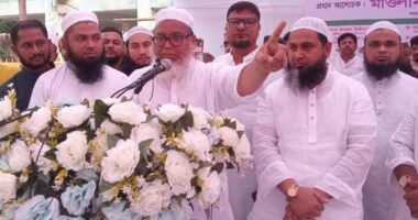 জামায়াত-শিবিরকে হাওয়া দিলে মরা মাছির মতো ফু দিয়ে উড়িয়ে দেব : মনির কাসেমী