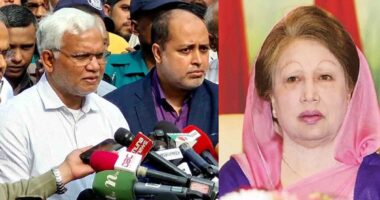 খালেদা জিয়ার শারীরিক অবস্থা স্থিতিশীল, তিনি ঠিকমতো চিকিৎসা গ্রহণ করতে পারছেন : ডা. জাহিদ