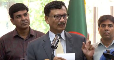 কূটনৈতিক এলাকার এত ভেতরে বিক্ষোভকারীরা এলো কিভাবে, দিল্লিকে প্রশ্ন ঢাকার