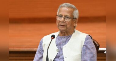 ভোটাধিকার কারও দয়া নয়, এটি আমাদের সাংবিধানিক অধিকার : প্রধান উপদেষ্টা