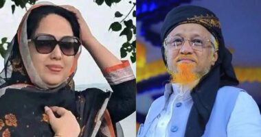 বিএনপি সমর্থিত জুনায়েদের বিপক্ষে স্বতন্ত্র হয়ে লড়বেন ব্যারিস্টার রুমিন ফারহানা