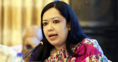 ‘আমি নির্বাচন করবোই, যদি ব্যবস্থা নেওয়ার হয় দল অবশ্যই ব্যবস্থা নেবে, আমি তো আসলে বাধা দিতে পারবো না’ : রুমিন ফারহানা