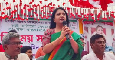 নির্বাচনে অংশ নিতে ৪টি গুরুত্বপূর্ণ প্রতিষ্ঠানের দায়িত্ব থেকে পদ ছাড়লেন বিএনপি প্রার্থী পুতুল