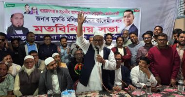 এখানে ধানের শীষ ও খেজুর গাছ একাকার, খেজুর গাছের মধ্যেই ধানের শীষ খুঁজে নিতে হবে : মনির হোসাইন কাসেমী