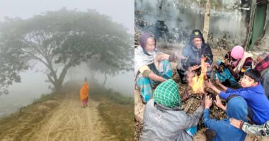 কুয়াশা ও কনকনে শীতে স্থবির বরগুনার জনজীবন