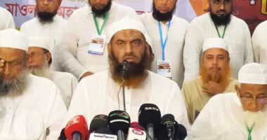 সংসদ নির্বাচনে ঢাকা-১৩ থেকে লড়বেন মামুনুল হক