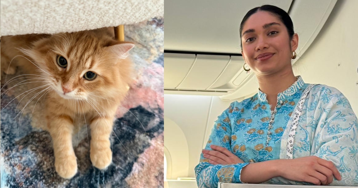 দেশজোড়া পরিচিতি পেলেও জেবু কিছুই বোঝে না, ‘ও যদি বিষয়টা বুঝতে পারত !’ : জাইমা