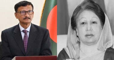বেগম খালেদা জিয়া শুধু একটি রাজনৈতিক দলের নেতা ছিলেন না, তিনি পুরো দেশের নেতা ছিলেন : পররাষ্ট্র উপদেষ্টা