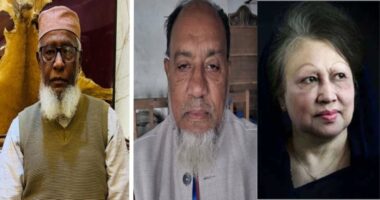 জিয়াউর রহমানের মতো খালেদা জিয়ার কফিনও বহন করতে চান হাসানুল-শহিদুল্লাহ