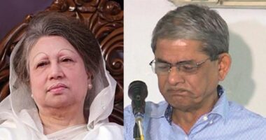 গভীর রাতে খালেদা জিয়াকে দেখতে হাসপাতালে ছুটে গেলেন মির্জা ফখরুল