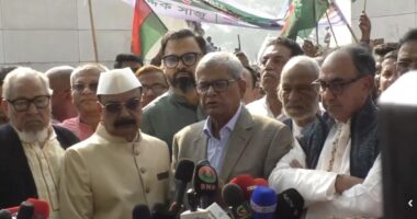 বাংলাদেশের স্বাধীনতার শত্রুরা আবার মাথাচাড়া দিয়ে উঠতে চায় : মির্জা ফখরুল