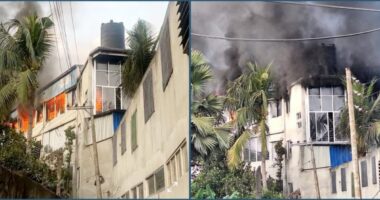 গাজীপুর দিশারী প্যাকেজিং কারখানায় ভয়াবহ অগ্নিকাণ্ড, দেড় ঘণ্টায় নিয়ন্ত্রণ