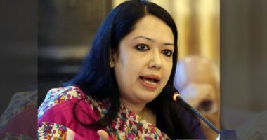 খালেদা জিয়ার মৃত্যুর দিনে নিজের বহিষ্কারকে ‘সংকেতপূর্ণ’ বললেন রুমিন ফারহানা