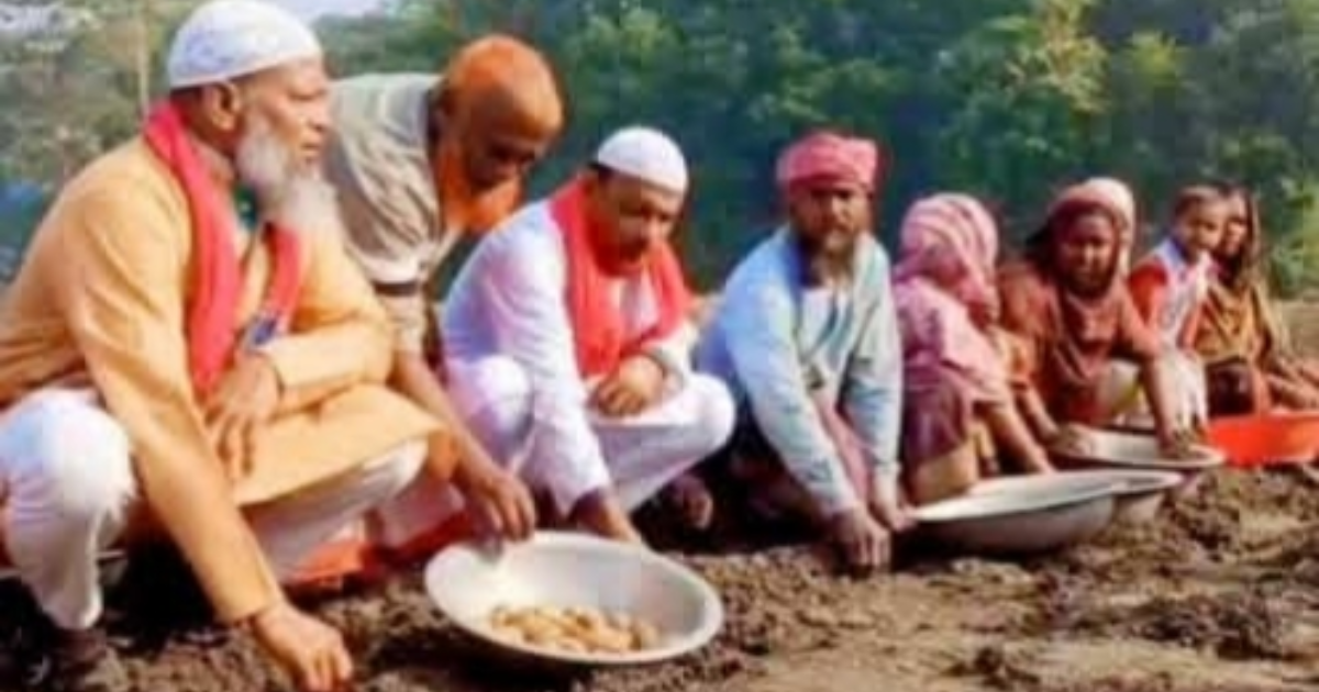 কৃষকের মাঠে সংসদ সদস্য প্রার্থী, আলু রোপণে নেতাকর্মীদের সঙ্গে অংশগ্রহণ