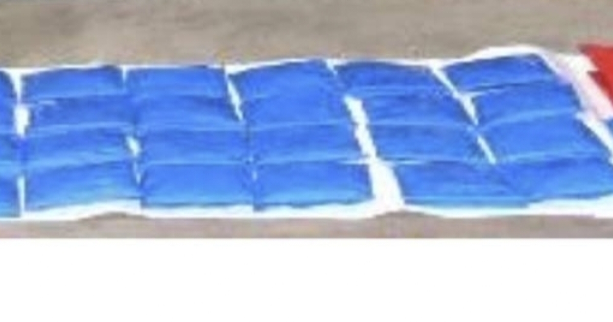 টাঙ্গাইলে তিন হাজার পিস ইয়াবাসহ মাদক কারবারি গ্রেপ্তার