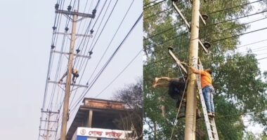 নরসিংদীর শিবপুরে বিদ্যুতের খুঁটিতে ইন্টারনেট সংযোগ মেরামতের সময় বিদ্যুৎস্পৃষ্টে যুবকের মৃত্যু