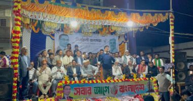 মানুষের ভোটাধিকার ফিরিয়ে আনতে ধানের শীষের বিজয়ের কোনো বিকল্প নেই : নাছির