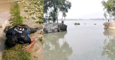 নীলফামারীতে তিস্তা সেচ ক্যানেলের বাঁধ ভেঙে শতাধিক একর ফসল তলিয়ে গেছে