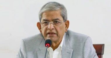 ‘নির্বাচন বানচাল করতে গুপ্ত হামলা চালানো হচ্ছে’: মির্জা ফখরুল