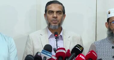 এখনই বিএনপির সন্ত্রাসীদের বিরুদ্ধে ব্যবস্থা নিতে হবে : এহসানুল